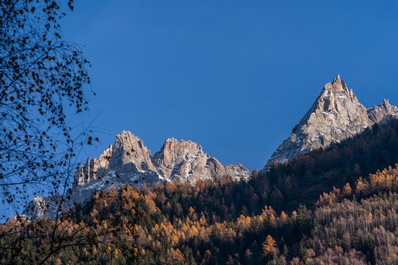 Chamois Blanc Terrasse Chamonix Exterior foto